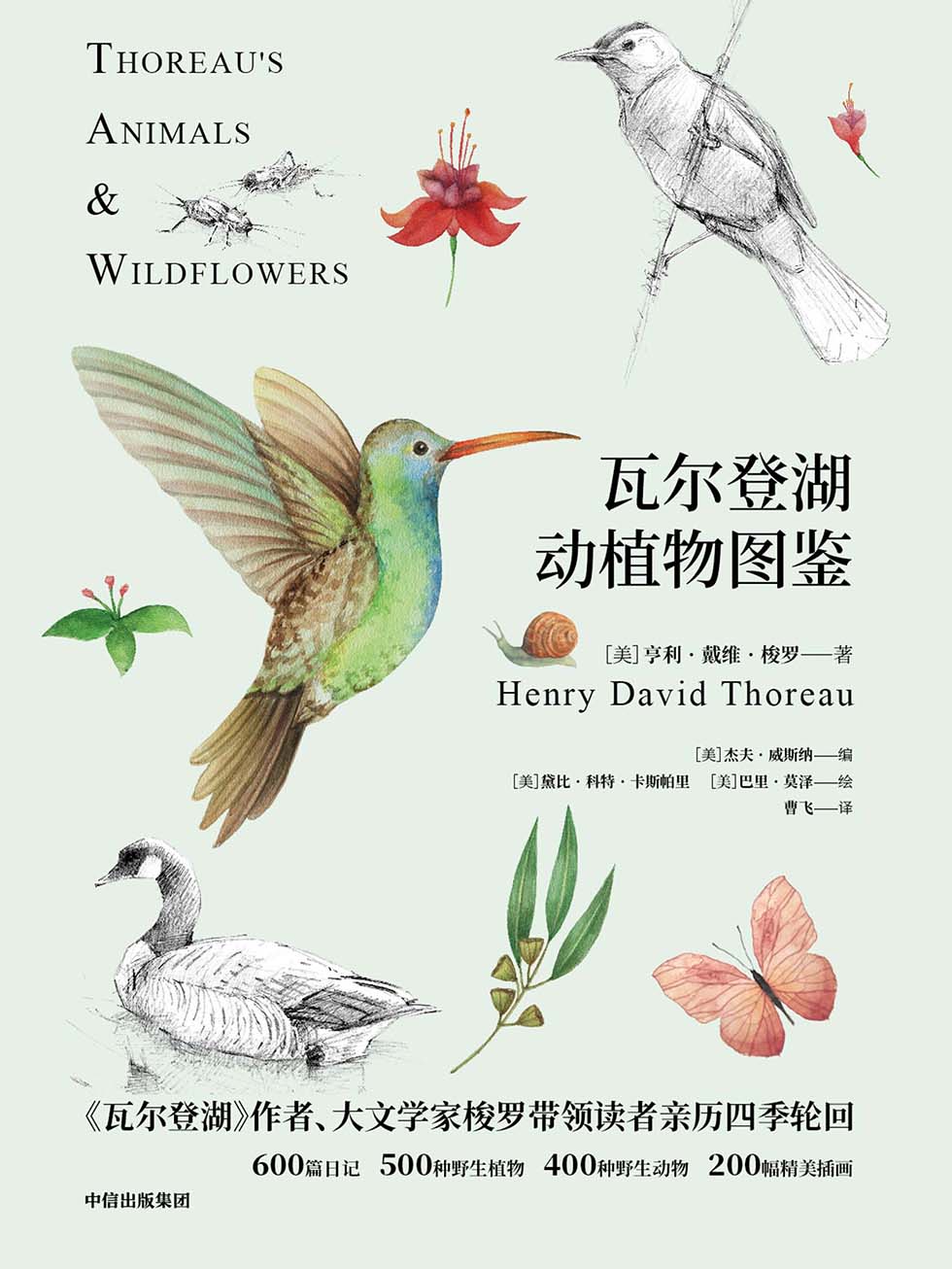 瓦尔登湖动植物图鉴 动物篇+植物篇（2册）