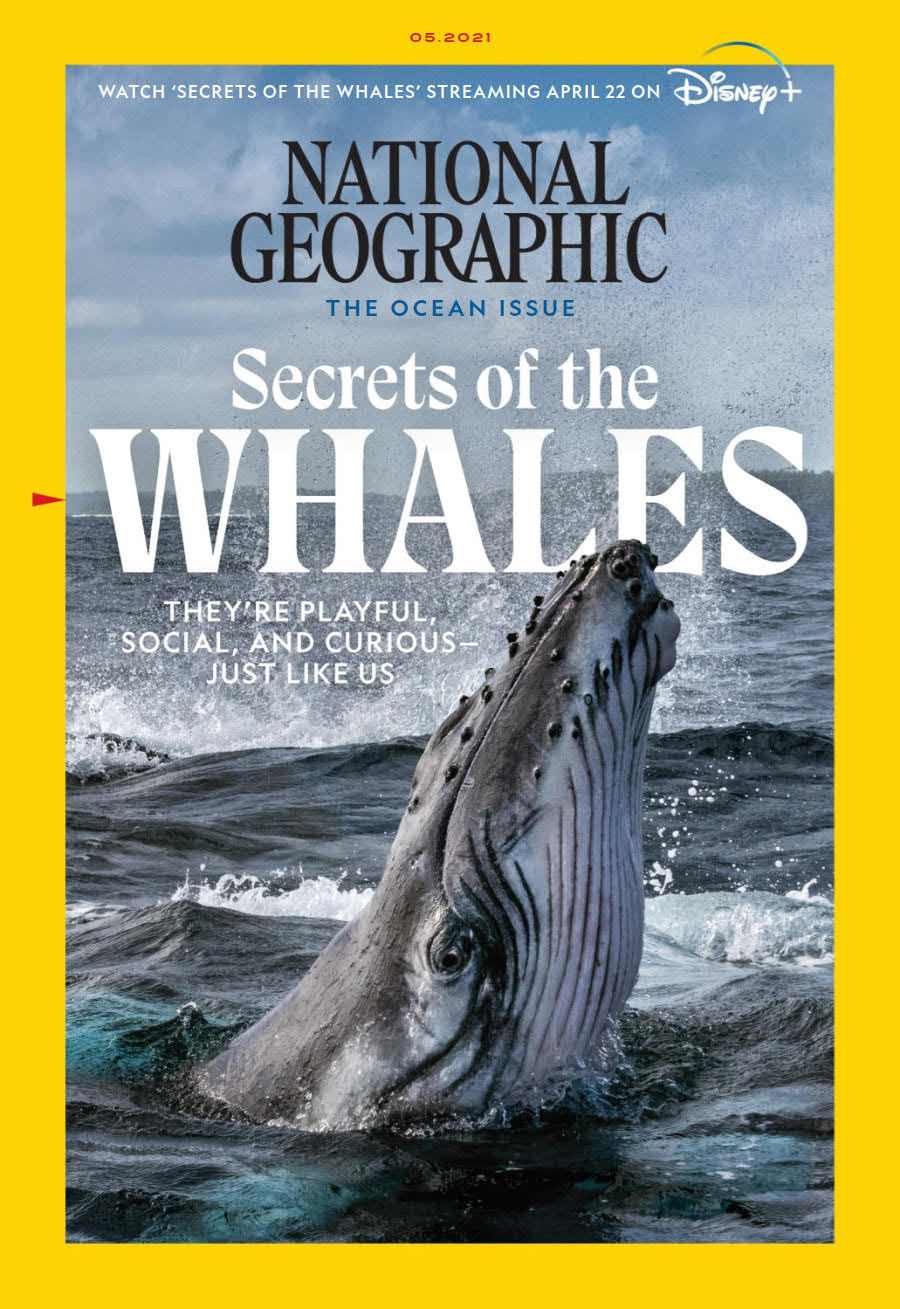 国家地理英国版 National Geographic UK 2021年5月刊 高清英文版杂志下载